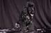 Charlie_02